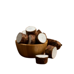 DIOSCOREA